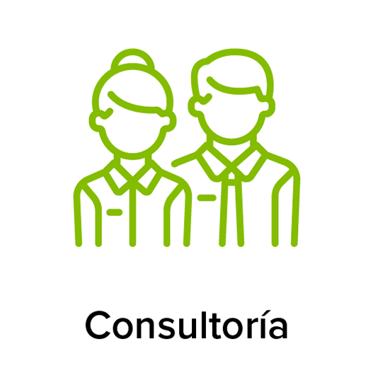 Consultoría