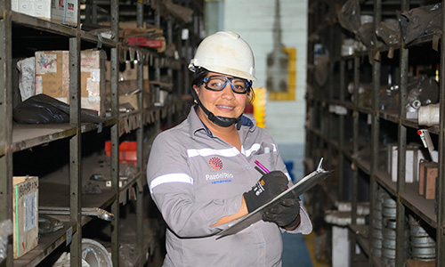 Acerias Paz Del Rio S.A : el buscador de empleo de la empresa