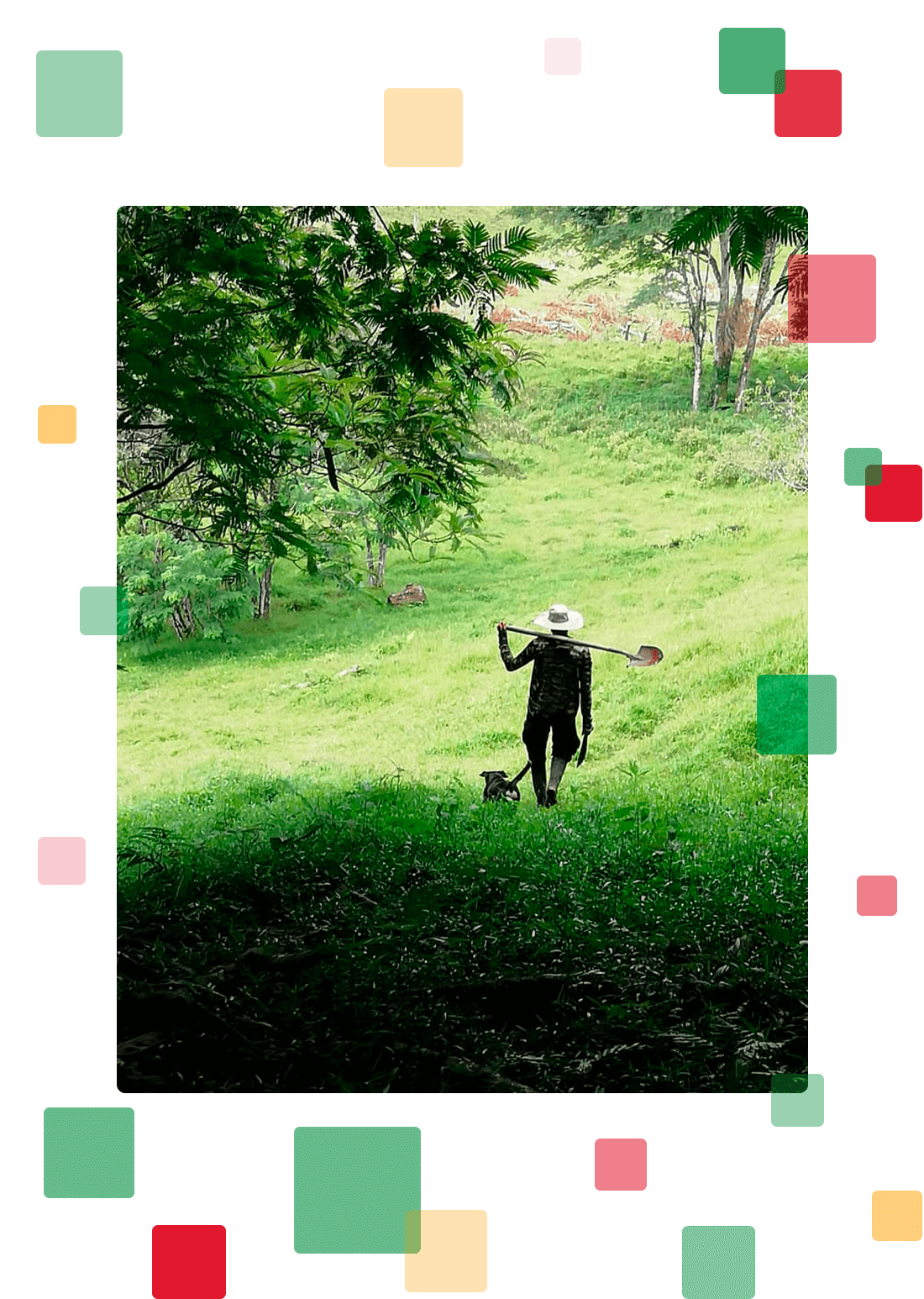 Bolsa de Empleo Limón