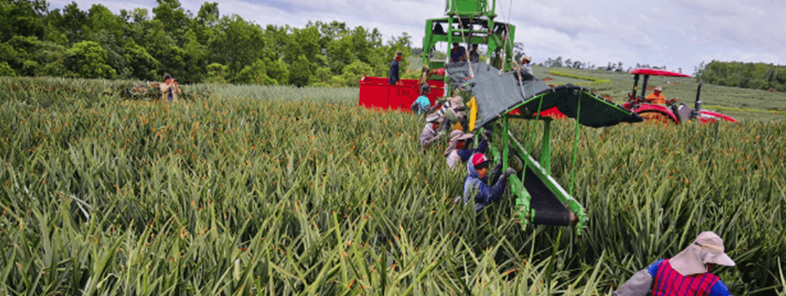 Bolsa de Empleo Limón