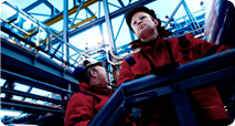 Ingenieros de Servicios  y Proyectos